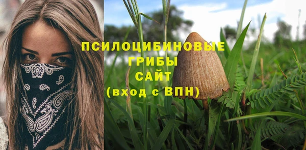 гидропоника Сосновый Бор